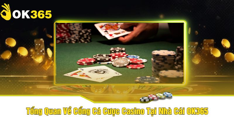 Tổng Quan Về Cổng Cá Cược Casino Tại Nhà Cái OK365